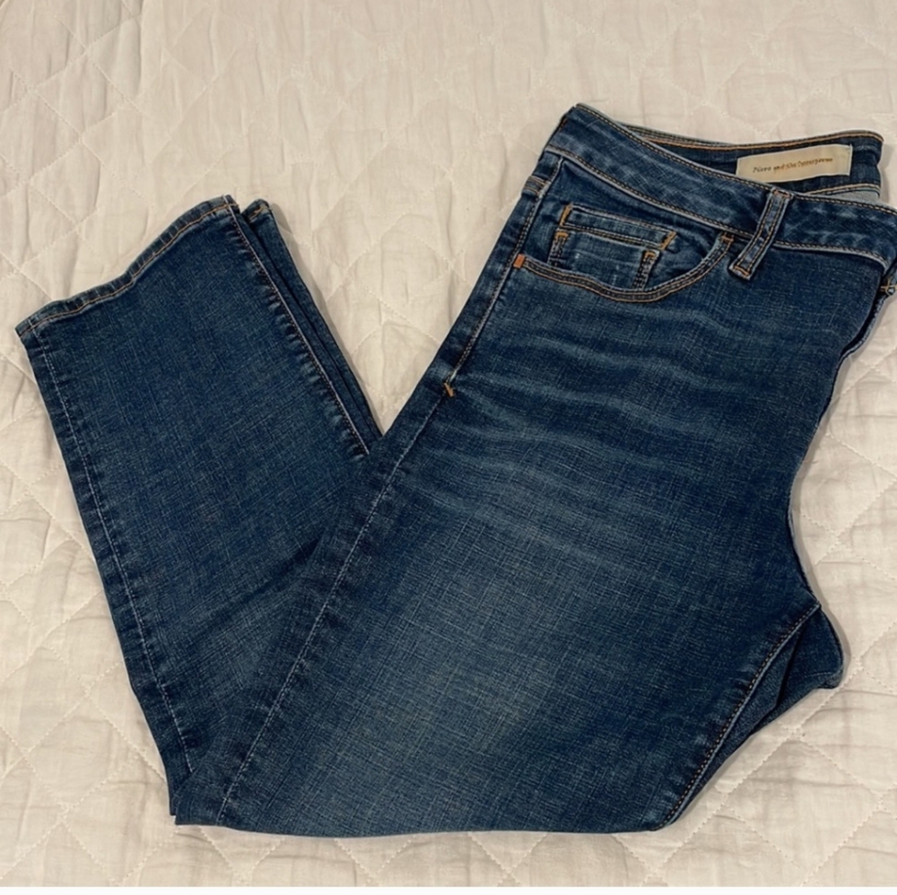 Pilcro and the Letterpress cropped straight leg jeans STET